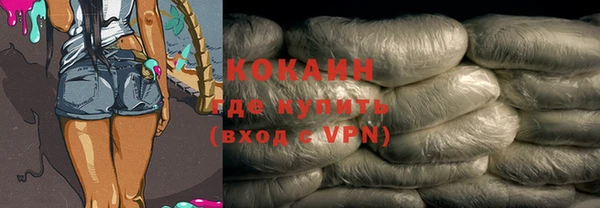 стаф Новозыбков