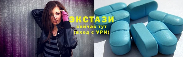 стаф Новозыбков