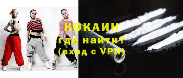 стаф Новозыбков