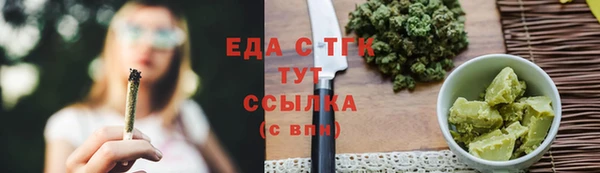 стаф Новозыбков