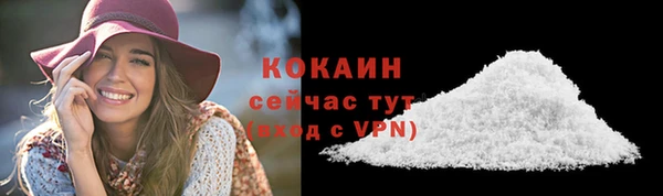 первитин Новодвинск
