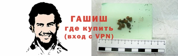 стаф Новозыбков