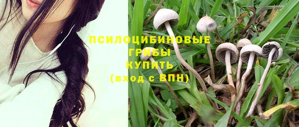 MDMA Новокубанск
