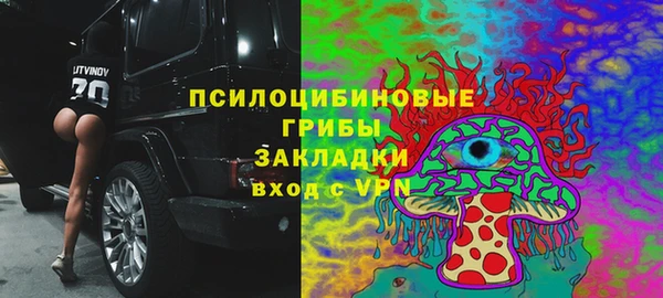 стаф Новозыбков