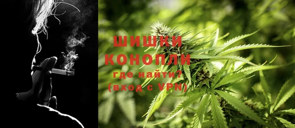первитин Новодвинск