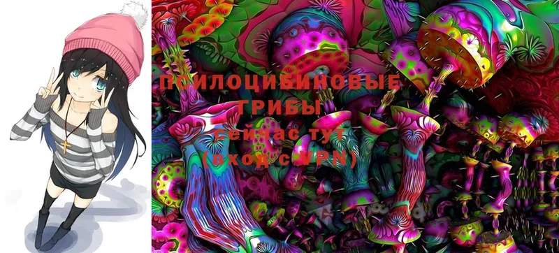 Галлюциногенные грибы Psilocybine cubensis  купить закладку  Миньяр 